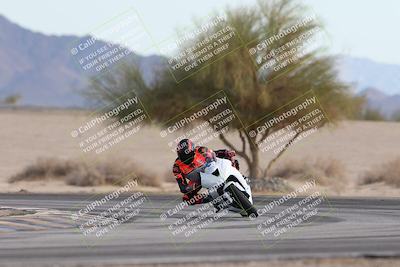 media/Nov-30-2025-TrackXperience (Sun) [[c0061d280f]]/2-Level 2/Session 6 Turn 4 Tree of Life/